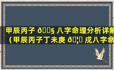 甲辰丙子 🐧 八字命理分析详解（甲辰丙子丁未庚 🦆 戌八字命理解析）